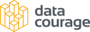 Data Courage Logo