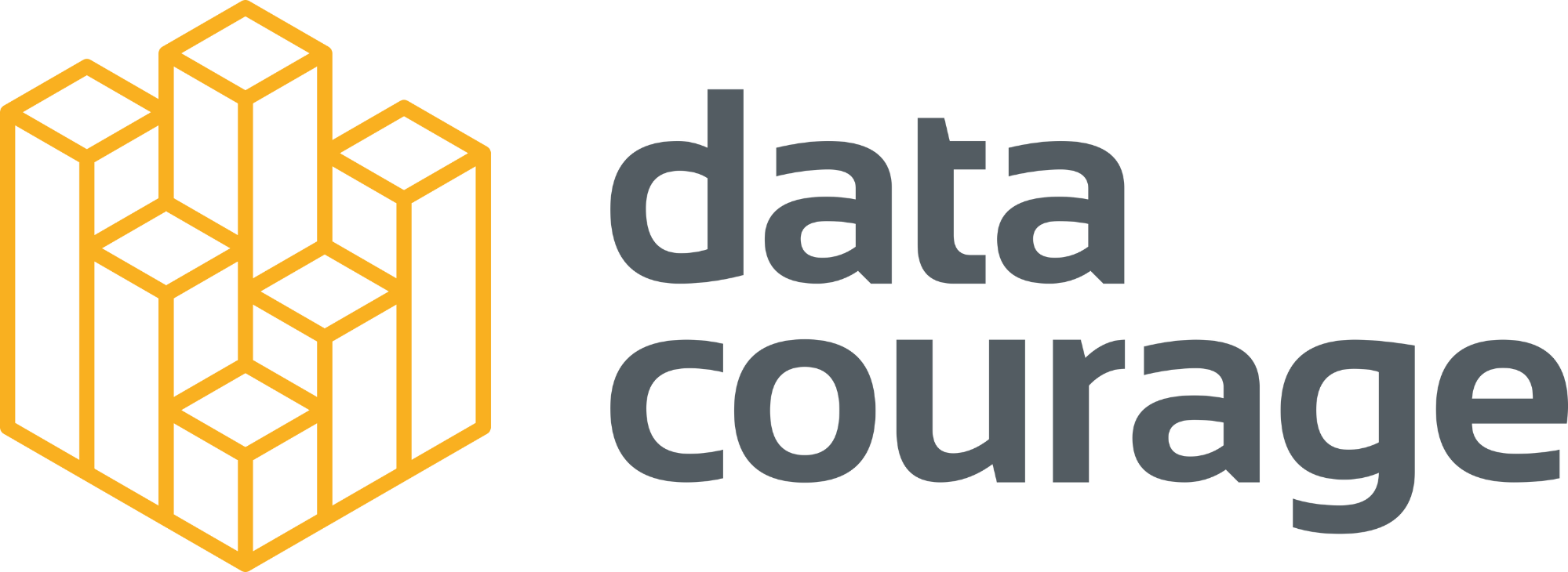 Data Courage Logo