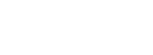 data courage white-1