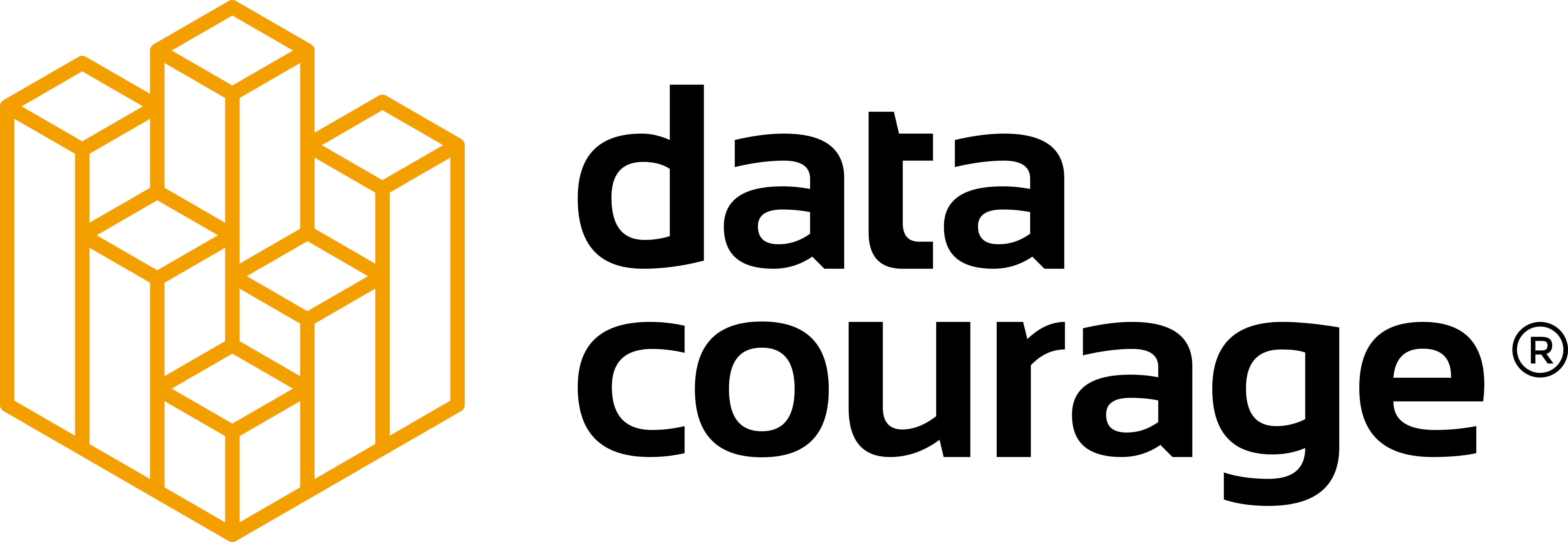 data_courage_horizontal_positive