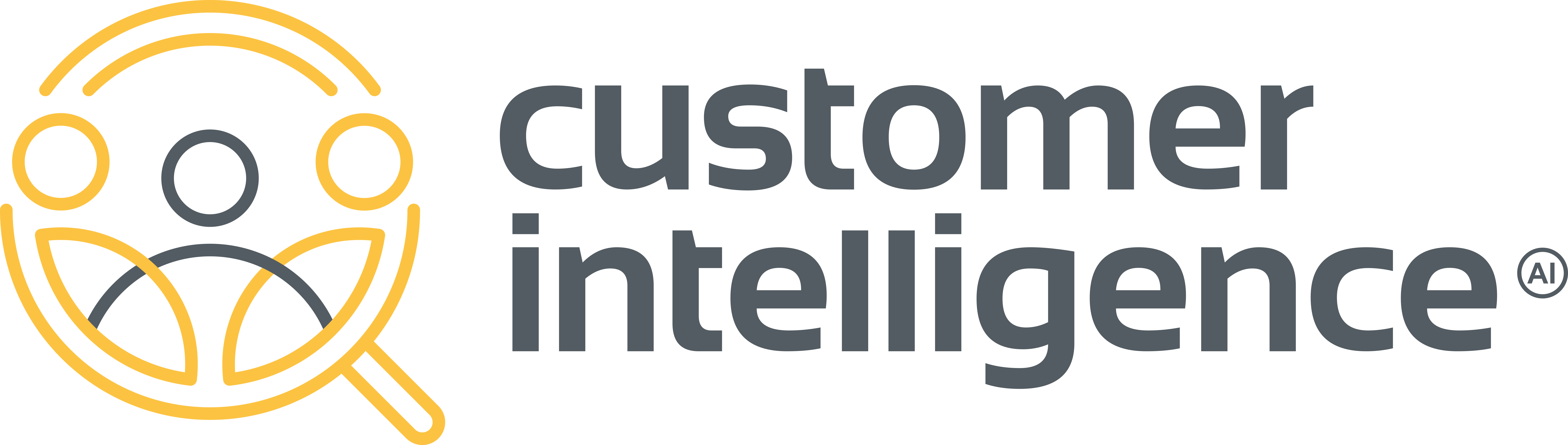 customer_intelligence_jasne_tlo-Nov-29-2022-01-12-07-0738-PM